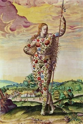 Una giovane donna pitta, da 